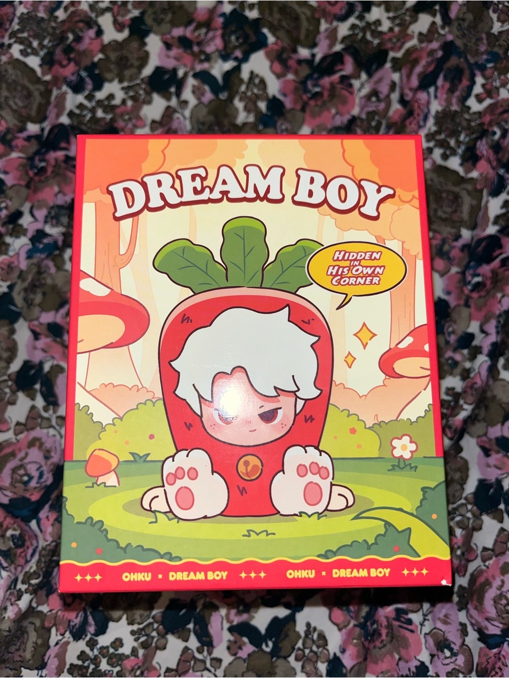 Dream Boy Blind Box